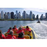 Vancouver Harbour Zodiac Sightseeing Cruise