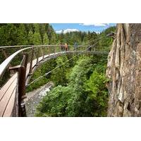 vancouver shore excursion city tour and capilano suspension bridge