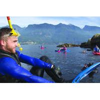 Vancouver Snorkel and Kayak Adventure: Snorkel with Seals