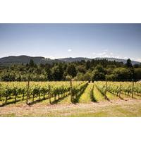 Vancouver Shore Excursion: Private Fraser Valley Wine Tour