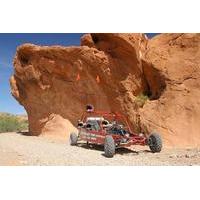 Valley Of Fire Buggy Tour