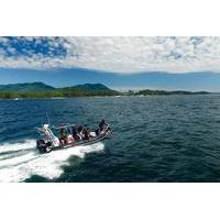 Vancouver Island Whale Watching Tour