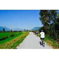 Vancouver Biking and Hiking Tour including Lunch