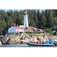 Vancouver City and Seals Scenic Boat Tour