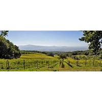 valdonica winery vineyard residence