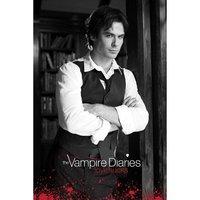 Vampire Diaries Damon Maxi Poster, Multi-colour