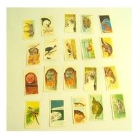 vanishing wildlife picture cards from brooke bond oxo
