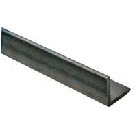 Varnished Steel Corner (H)25mm (W)25mm (L)2m