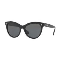 Valentino Sunglasses VA4013 500187