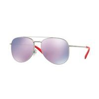 Valentino Sunglasses VA2007B 30155R