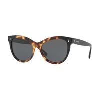 Valentino Sunglasses VA4013 500387