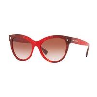 Valentino Sunglasses VA4013 503313