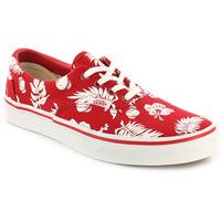 Vans U Era Tropicoco