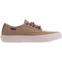 vans aldrich sf womens shoes trainers in beige