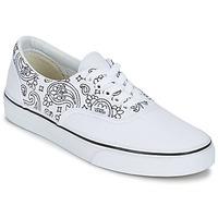 Vans ERA women\'s Shoes (Trainers) in white