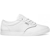 Vans Atwood Low women\'s Shoes (Trainers) in white