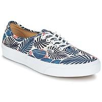 Vans AUTHENTIC women\'s Shoes (Trainers) in blue