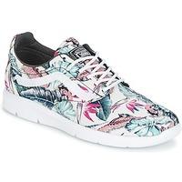 Vans ISO 1.5 + women\'s Shoes (Trainers) in Multicolour