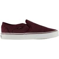 Vans W Asher Croc Burgundy women\'s Shoes (Trainers) in multicolour