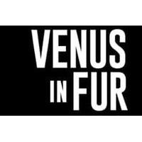 Venus in Fur theatre tickets - Theatre Royal Haymarket - London