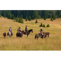 velika plana valley 2 hour horseback trail ride and lunch