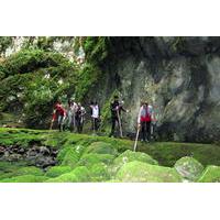 Velebit Mountain: Full Day Cave Hike