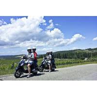 Vespa Tour on Florentine Hills