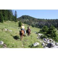 Velika Plana Valley: Full Day Horseback Riding Experience