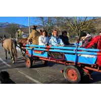 Velebit Nature Park: Full Day Wagon Ride Activity