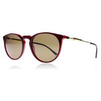 Versace 4315 Sunglasses Red / Brown 518873