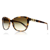 versace 4293b sunglasses tortoise 94413