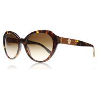 versace 4306q sunglasses brown tortoise 10813