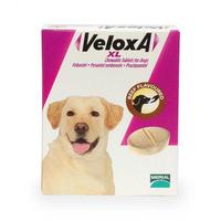 Veloxa Chewable Worm Treatment XL Tablets For Dogs Beef Flavoured x 4