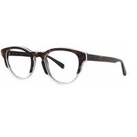 Vera Wang Eyeglasses HANNE 02 TORTOISE