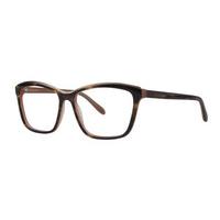 vera wang eyeglasses v381 tortoise