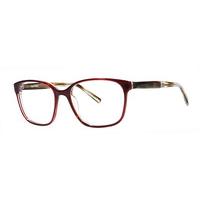 Vera Wang Eyeglasses Macee CB