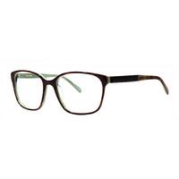 Vera Wang Eyeglasses Macee TO