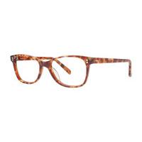 Vera Wang Eyeglasses V376 GOLDEN TORTOISE