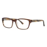 Vera Wang Eyeglasses JACQUETTE TABAC