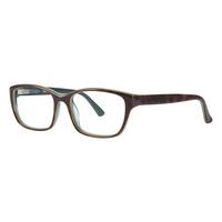 Vera Wang Eyeglasses JACQUETTE TORTOISE