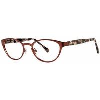 Vera Wang Eyeglasses V331 BROWN