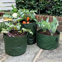 Vegetable Planters Pack of 3