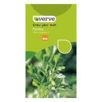 Verve Parsley Seeds Plain Leaved 2 Mix