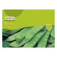 verve pea seeds oregon sugar pod mix