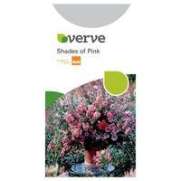 Verve Shades Of Pink Seeds