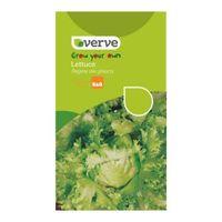 Verve Lettuce Seeds Regina Del Ghiacci Mix