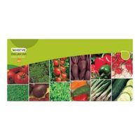 Verve Veg Collection Seeds