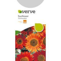 Verve Sunflower Seeds Earthwalker Mix