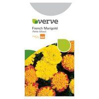 verve french marigold seeds petite mix