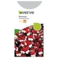 Verve Nemesia Seeds National Ensign Mix